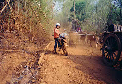 Pai Enduro Team, Northern Thailand: Off-Road Adventure, Dual Sport, Motorcycle Tours.