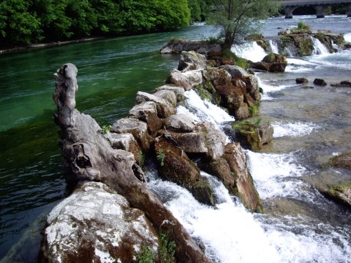 rheinfalls_08