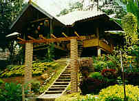 Bungalow from Karen Guest House  (7.3 K)