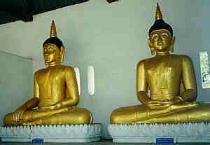 Vergoldete, sitzende Buddha-Statuen beim Wat Chedi Luang, Chiang Mai   (7.4 K)