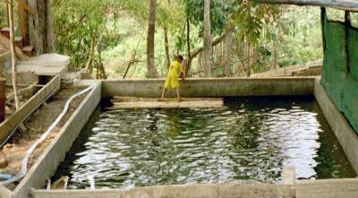 Mae Na Chorn, Chiang Mai Provinz, Thailand: Das Entenbecken - und vielleicht später auch mal Fischzuchtbecken.