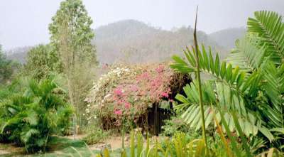 Mae Na Chorn, Chiang Mai Provinz, Thailand: Das kleine Haus bietet einen atemberaubenden Ausblick auf den ca. 20m tiefer gelegenen Bergfluss.