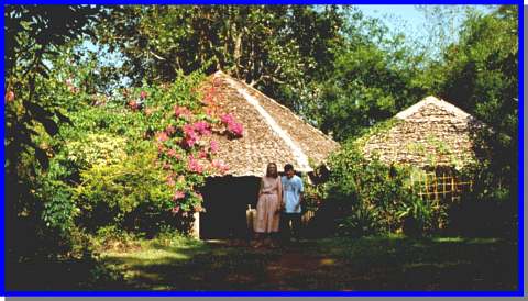 Garden of Sang Tong Huts, Bungalows in Mae Hong Sorn, Mae Hong Sorn Province, Northern Thailand (31308 Byte)